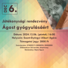 Mikulásváró jótékonysági rendezvény – Ágost gyógyulásáért az Agórában